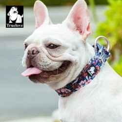 Collier Truelove chien Flex Flower Edition spéciale